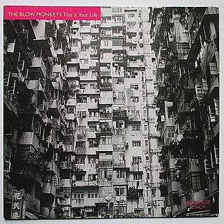 This Is Your Life by The Blow Monkeys