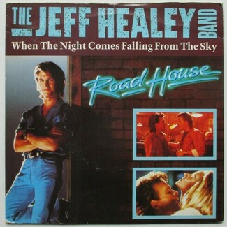 When The Night Comes Falling From The Sky by The Jeff Healey Band