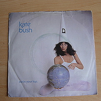 Sat In Your Lap by Kate Bush