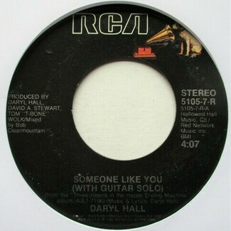 Someone Like You by Daryl Hall