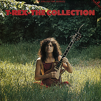 The Collection by T. Rex