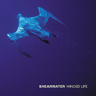 Winged Life by Shearwater