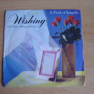 Wishing (If I Had A Photograph Of You) by A Flock Of Seagulls