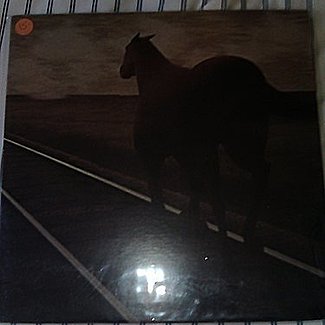 Night Vision by Bruce Cockburn