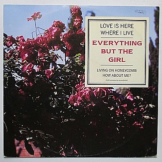 Love Is Here Where I Live by Everything But The Girl