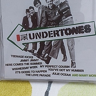 Teenage kicks by The Undertones