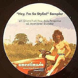 "Hey, I'm So Stylin!" Sampler by Various