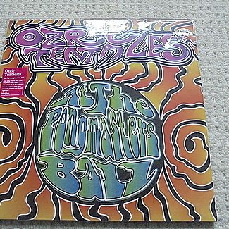 AT THE PONGMASTERS BALL by Ozric Tentacles