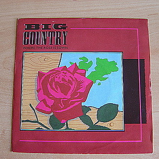 Where The Rose Is Sown by Big Country
