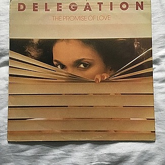 The Promise Of Love by Delegation
