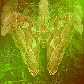 25/12/2013 by 真美鳥 Ulithi Empress Yonaguni San