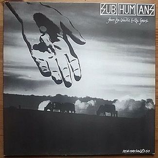 From The Cradle To The Grave by Subhumans
