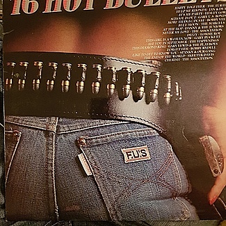 16 hot bullets by Various