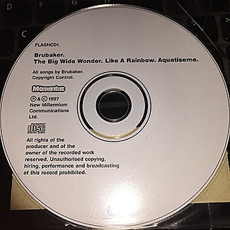 The Big Wide Wonder by Brubaker