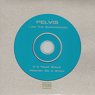 I Am The Supergrass by Pelvis