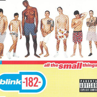 All The Small Things by Blink-182