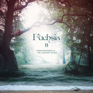 Fuchsia ‎– II - From Psychedelia...To A Distant Place by Fuchsia