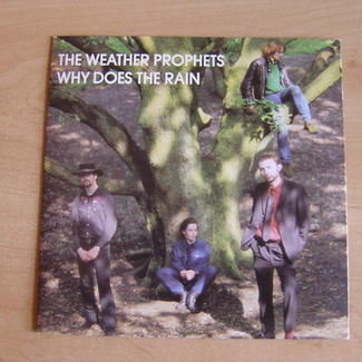 Why Does The Rain by The Weather Prophets