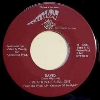 David / The Fun Machine by Sunlight