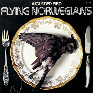 Wounded Bird by Flying Norwegians