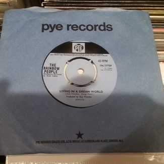 Living in a dream world by The Rainbow People