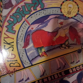 Sensible Shoes by The Big Sky Mudflaps