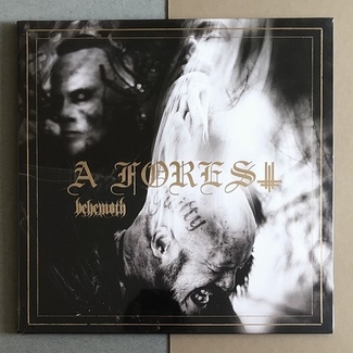 A Forest by Behemoth