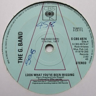 Look What You've Been Missing by The G Band