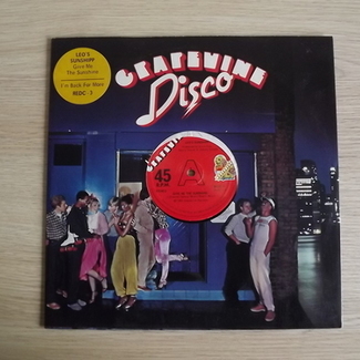 Give Me The Sunshine / I'm Back For More by Leo's Sunshipp