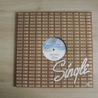 Here Comes The Sun / Love Alive by Fat Larry's Band