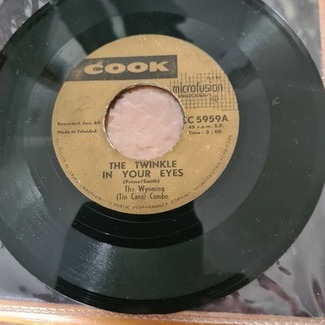 The Twinkle in your eyes by The Wyoming (tin Cans)combo