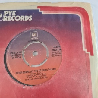 Never Gonna Let You Go (short version) by Jobel&the Orchestra De Salsa