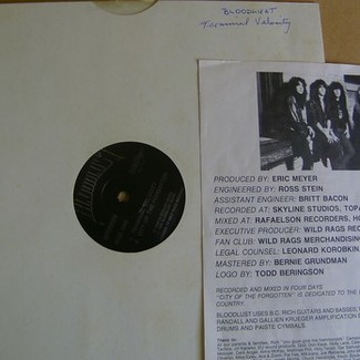 Terminal Velocity by Bloodlust