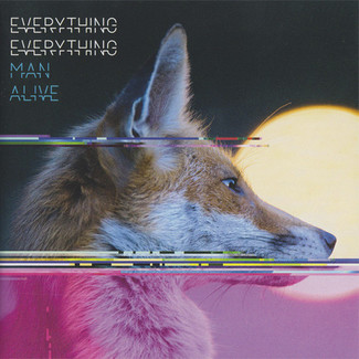 Man Alive by Everything Everything