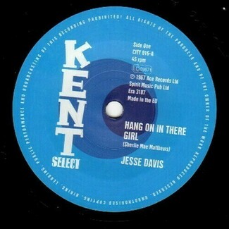 Hang On In There Girl by Jesse Davis