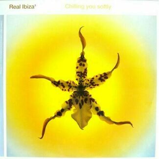 Real Ibiza³ - Chilling You Softly by Various