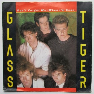 Don't Forget Me (When I'm Gone) by Glass Tiger