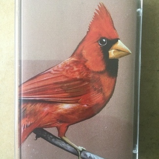 Old Crows / Young Cardinals by Alexisonfire