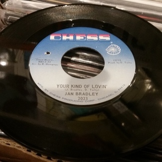 Your kind of lovin' by Jan Bradley