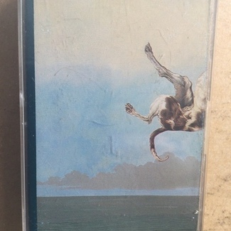 Down by The Jesus Lizard