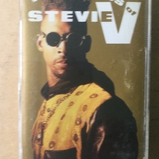 Adventures Of Stevie V by Adventures Of Stevie V.