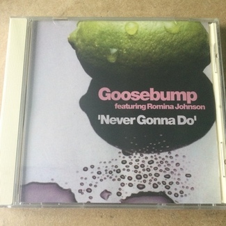 Never Gonna Do by Goosebump