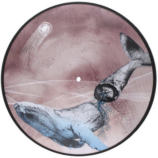 Basal Ganglia by Mestis