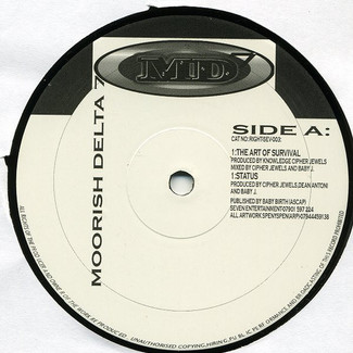 The Art Of Survival by Moorish Delta 7