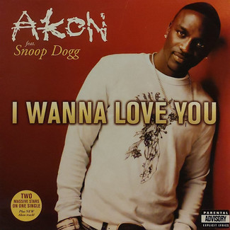 I Wanna Love You by Akon