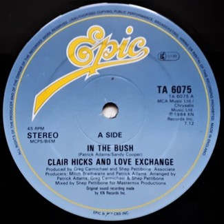 In The Bush by Clair Hicks And Love Exchange