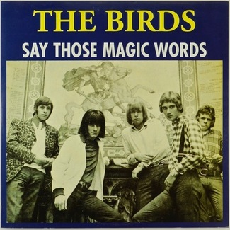 Say Those Magic Words by The Birds