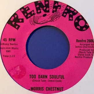 Too Darn Soulful by Morris Chestnut