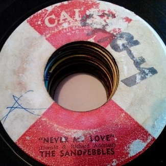 Never My Love+Who Knows What Will Be Tomorrow by The Sandpebbles