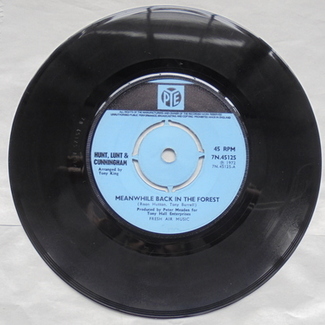 MEANWHILE BACK IN THE FOREST/ ON THE NIGHT by Hunt, Lunt & Cunningham